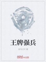 王牌兵王txt