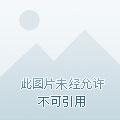 兽魂附体的