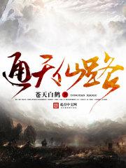 通天仙路 飞翼 通天仙路 飞翼