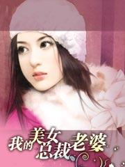 我的美女总裁老婆杨辰正版 我的美女总裁老婆杨辰正版