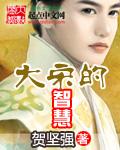 大宋的智慧无弹窗 大宋的智慧无弹窗