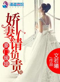 豪门暖婚之娇妻请负责 豪门暖婚之娇妻请负责