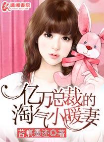 亿万总裁的淘气小暖妻 亿万总裁的淘气小暖妻