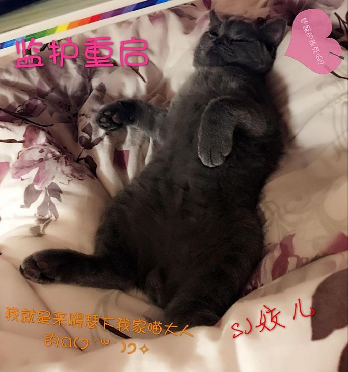 监护重启 监护重启