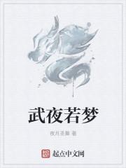 武夜若梦 武夜若梦