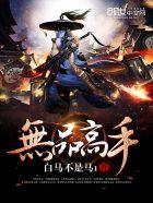 无品高手 无品高手