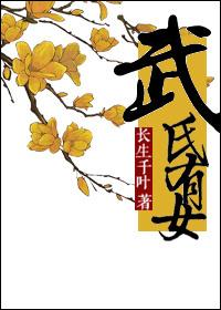武氏有女 武氏有女