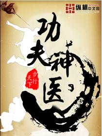 功夫神医 功夫神医