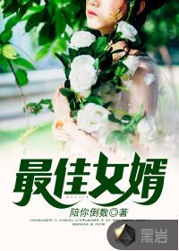 最佳女婿 最佳女婿